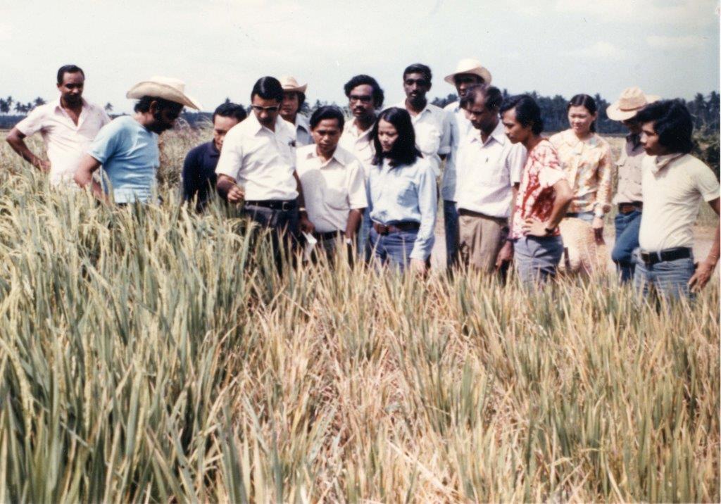Dr. Khush with Student Trainees, Rice Field. Courtesy of the Khush Family.