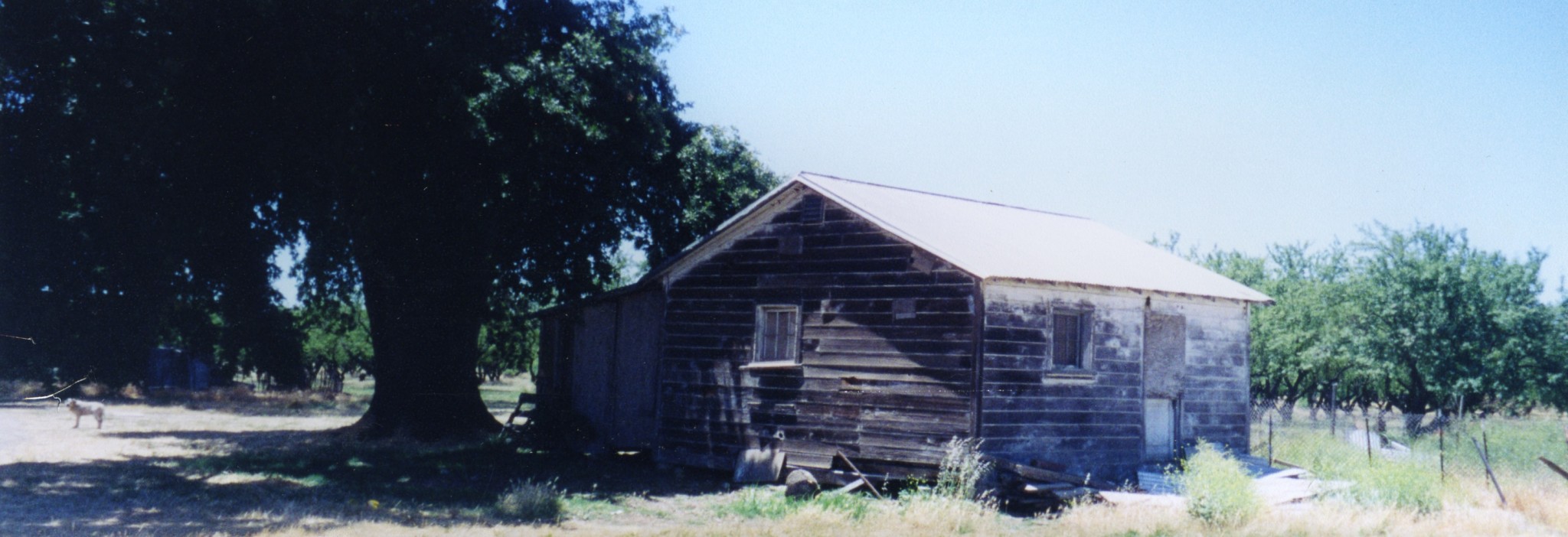 First House Where Didar Singh Bains Lived in Labor Camp as a Farm Worker, Wheatland, CA. Courtesy of the Bains Family and the Punjabi American Heritage Society.