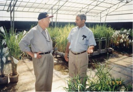 Pillars of the Green Revolution: Dr. Normal Borlaug and Dr. Gurdev Khush, Circa 2000s.  Courtesy of the Khush Family.